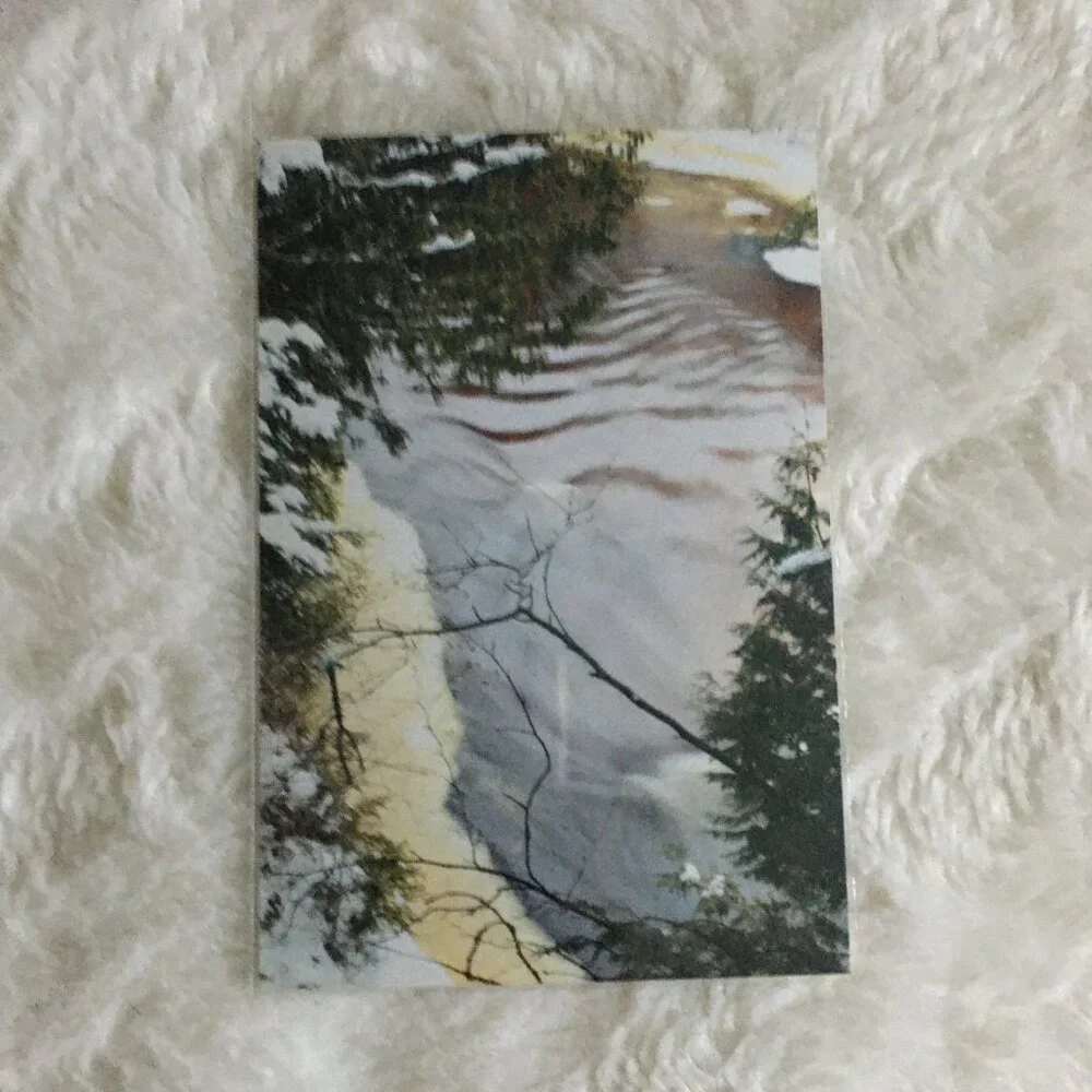Set of 4 Original Canadian Winter Photographs Icy River Mossy Bark Nature Art - Picture 4 of 7
